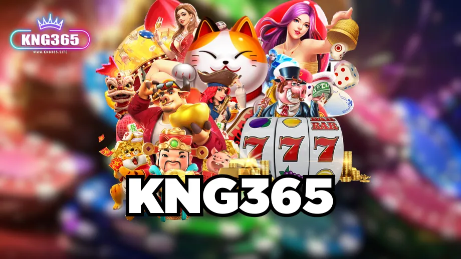 kng365